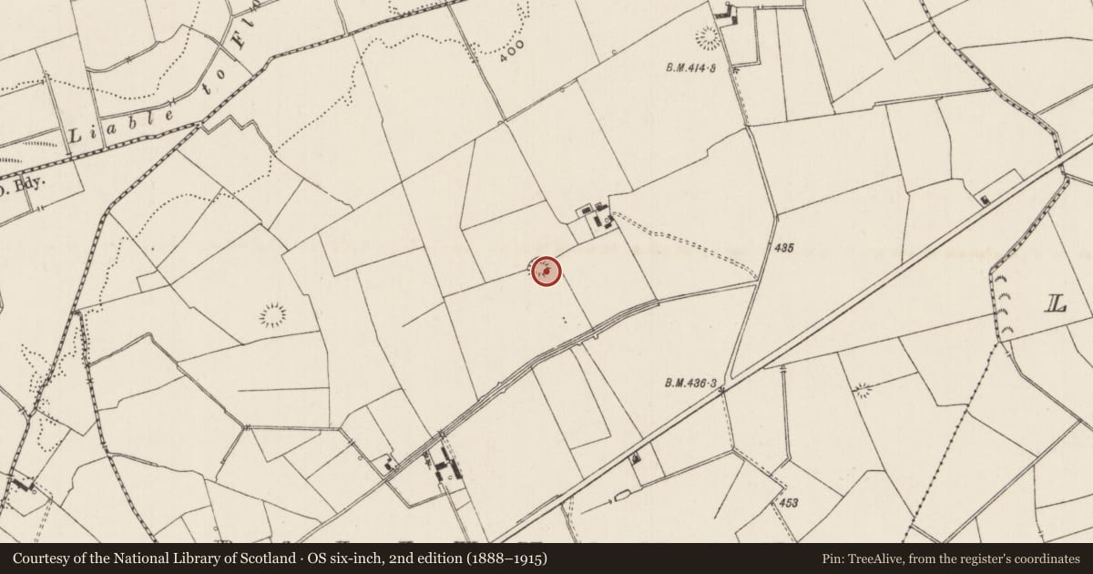 Ordnance Survey six-inch map, 2nd edition (1888–1915) covering the location of Enclosure, Ballynamona, County Limerick, with a pin at the register's coordinates