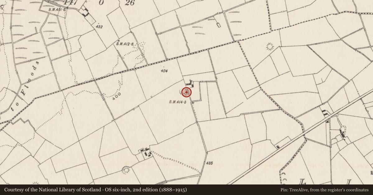 Ordnance Survey six-inch map, 2nd edition (1888–1915) covering the location of Earthwork, Ballynamona, County Limerick, with a pin at the register's coordinates
