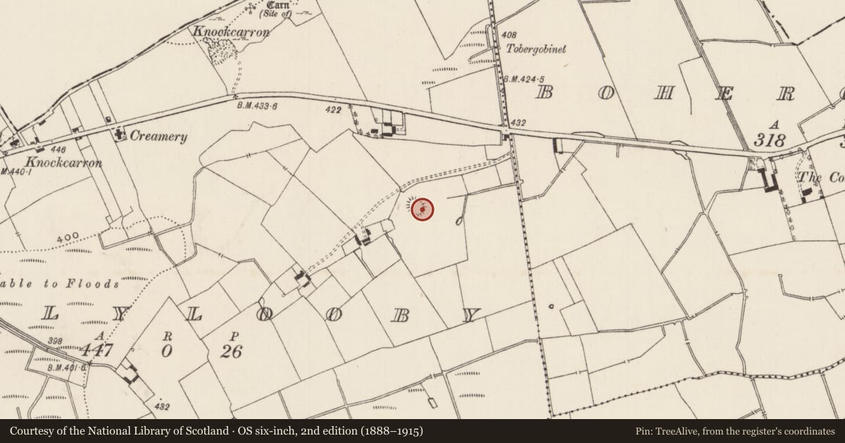 Ordnance Survey six-inch map, 2nd edition (1888–1915) covering the location of Ringfort - rath, Ballylooby, County Limerick, with a pin at the register's coordinates