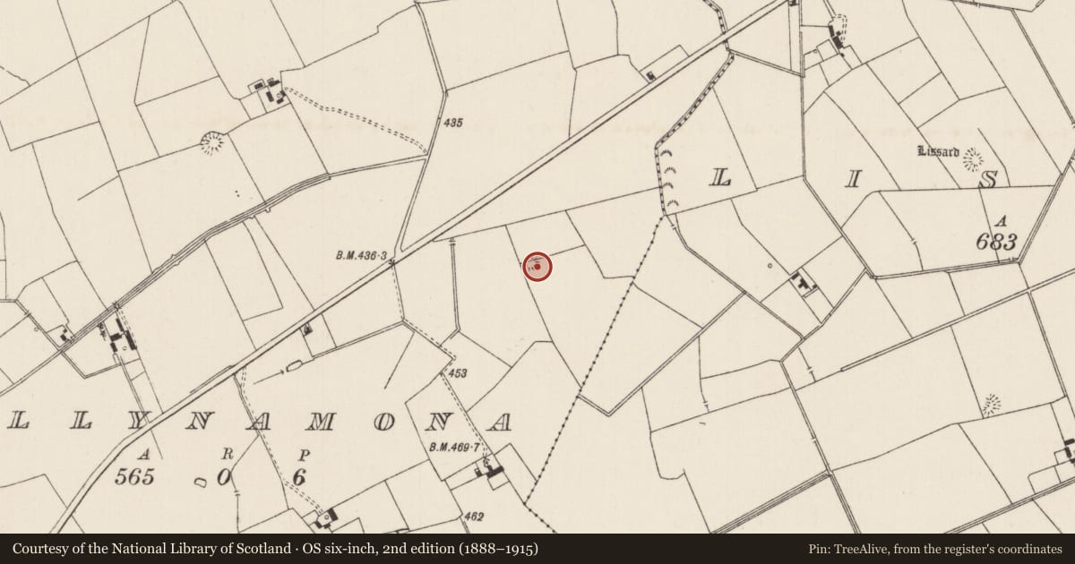 Ordnance Survey six-inch map, 2nd edition (1888–1915) covering the location of Earthwork, Ballynamona, County Limerick, with a pin at the register's coordinates