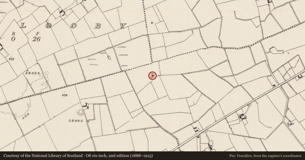 Ordnance Survey six-inch map, 2nd edition (1888–1915) covering the location of Ringfort - rath, Lissard, County Limerick, with a pin at the register's coordinates