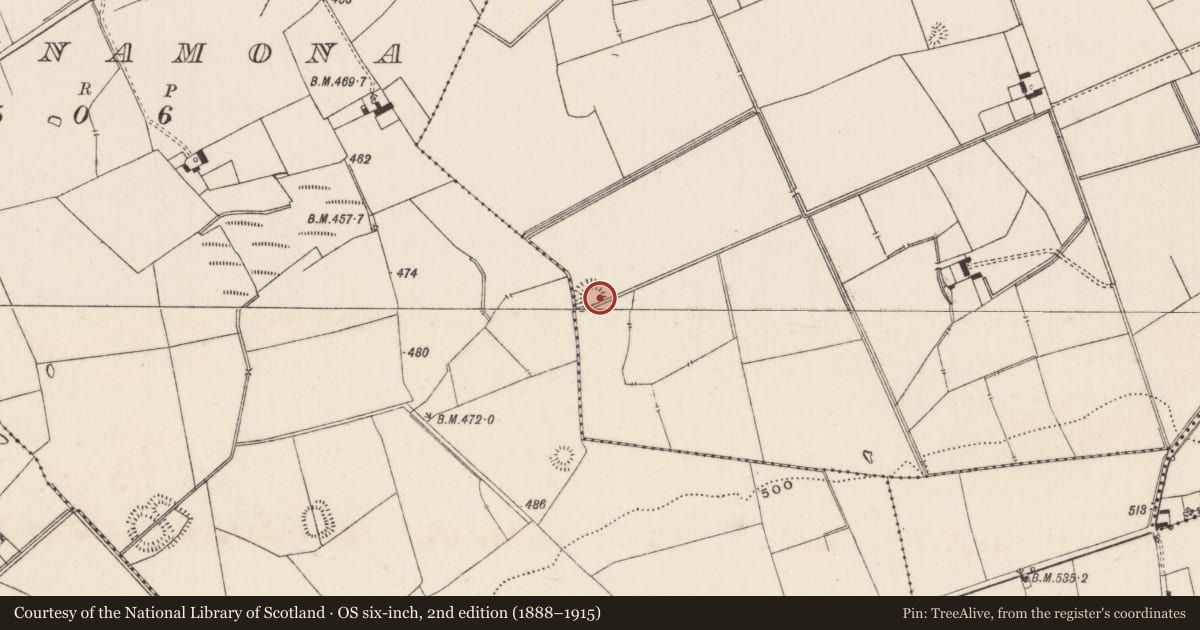 Ordnance Survey six-inch map, 2nd edition (1888–1915) covering the location of Earthwork, Lissard, County Limerick, with a pin at the register's coordinates