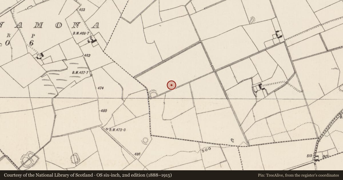 Ordnance Survey six-inch map, 2nd edition (1888–1915) covering the location of Barrow - ditch barrow, Lissard, County Limerick, with a pin at the register's coordinates