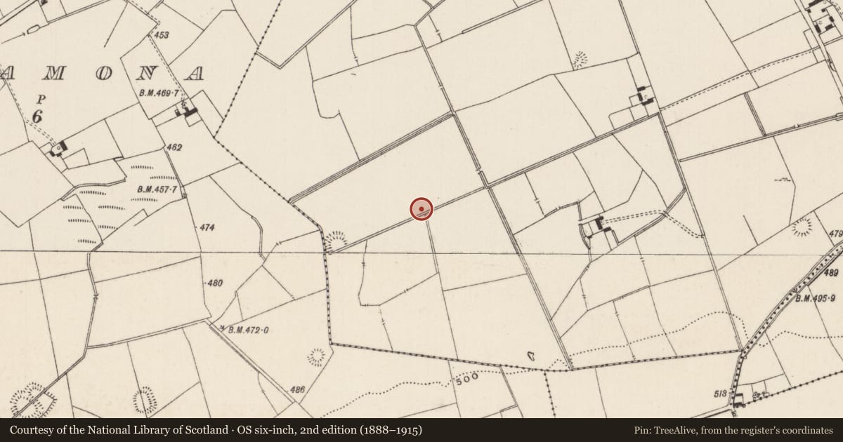 Ordnance Survey six-inch map, 2nd edition (1888–1915) covering the location of Barrow - unclassified, Lissard, County Limerick, with a pin at the register's coordinates