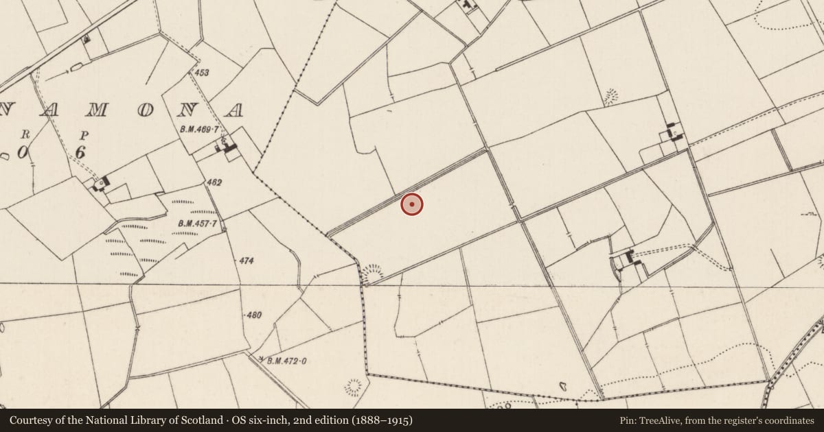 Ordnance Survey six-inch map, 2nd edition (1888–1915) covering the location of Barrow - ditch barrow, Lissard, County Limerick, with a pin at the register's coordinates