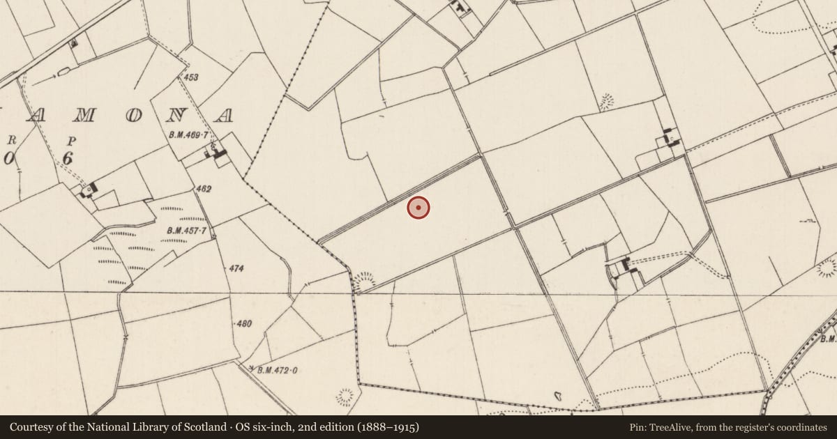 Ordnance Survey six-inch map, 2nd edition (1888–1915) covering the location of Barrow - ditch barrow, Lissard, County Limerick, with a pin at the register's coordinates