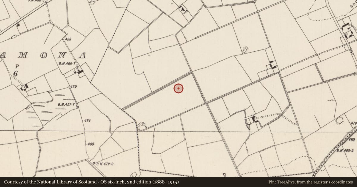 Ordnance Survey six-inch map, 2nd edition (1888–1915) covering the location of Barrow - ditch barrow, Lissard, County Limerick, with a pin at the register's coordinates