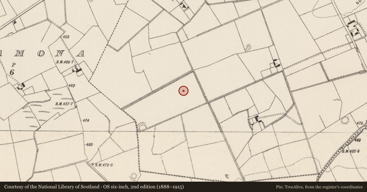 Ordnance Survey six-inch map, 2nd edition (1888–1915) covering the location of Barrow - ditch barrow, Lissard, County Limerick, with a pin at the register's coordinates