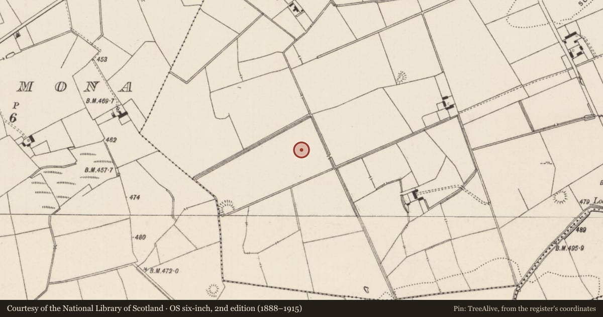 Ordnance Survey six-inch map, 2nd edition (1888–1915) covering the location of Barrow - ditch barrow, Lissard, County Limerick, with a pin at the register's coordinates