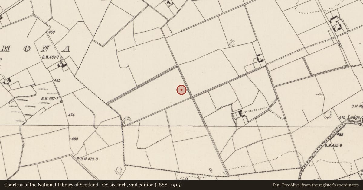 Ordnance Survey six-inch map, 2nd edition (1888–1915) covering the location of Barrow - ditch barrow, Lissard, County Limerick, with a pin at the register's coordinates
