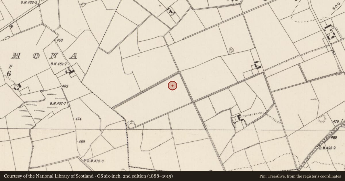 Ordnance Survey six-inch map, 2nd edition (1888–1915) covering the location of Barrow - ditch barrow, Lissard, County Limerick, with a pin at the register's coordinates