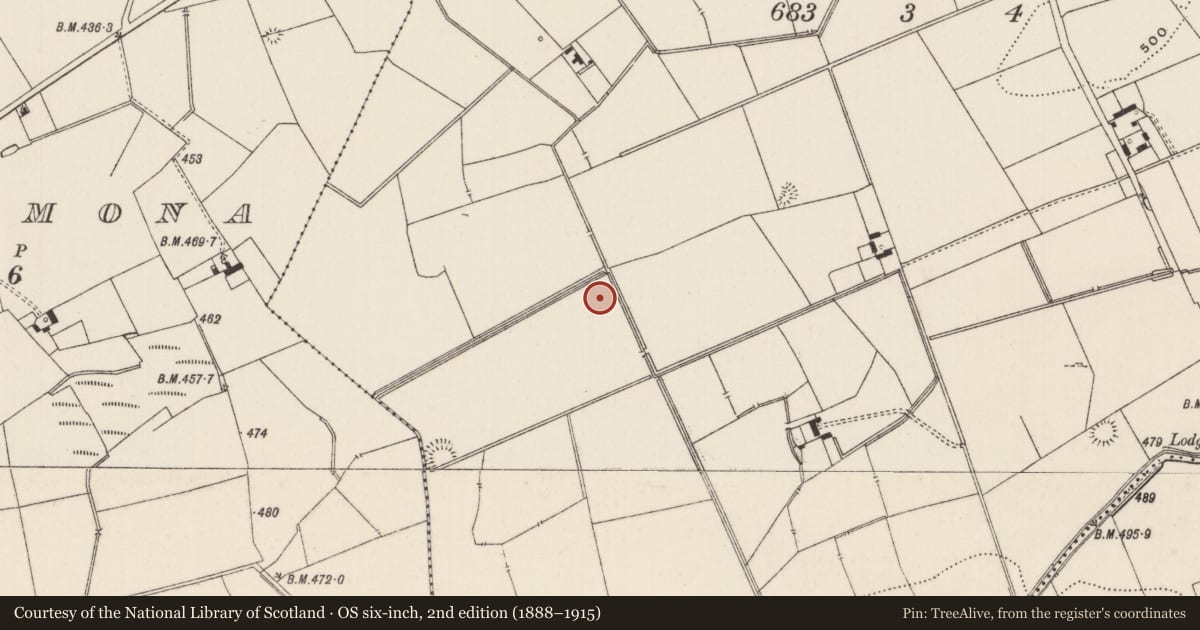Ordnance Survey six-inch map, 2nd edition (1888–1915) covering the location of Barrow - ditch barrow, Lissard, County Limerick, with a pin at the register's coordinates