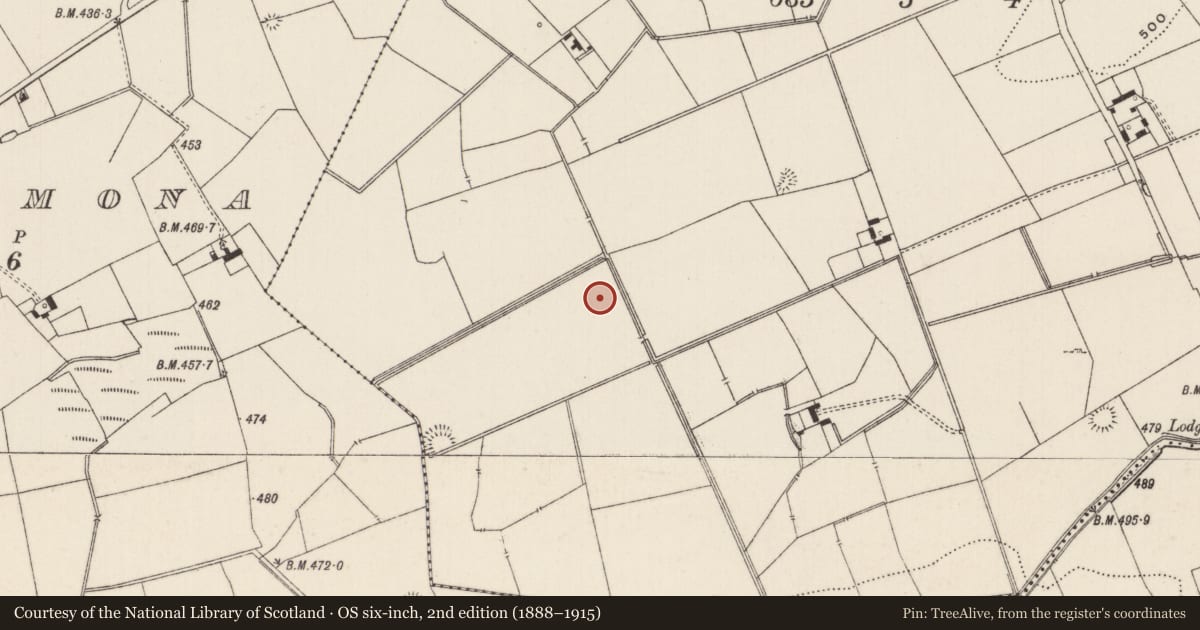 Ordnance Survey six-inch map, 2nd edition (1888–1915) covering the location of Barrow - ditch barrow, Lissard, County Limerick, with a pin at the register's coordinates