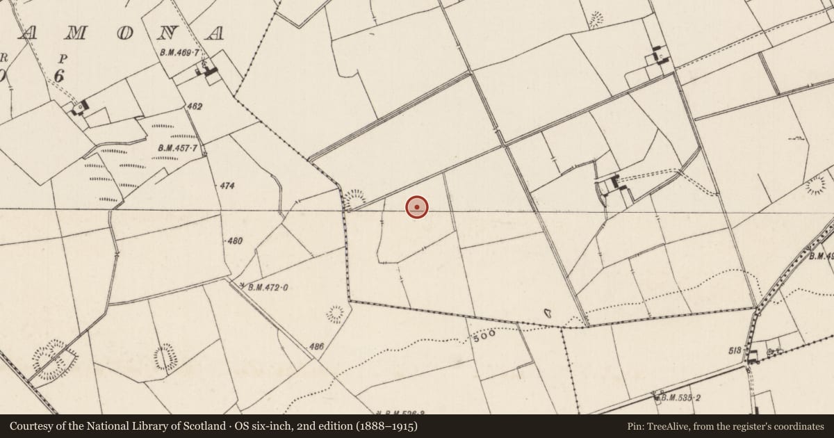 Ordnance Survey six-inch map, 2nd edition (1888–1915) covering the location of Barrow - ring-barrow, Lissard, County Limerick, with a pin at the register's coordinates