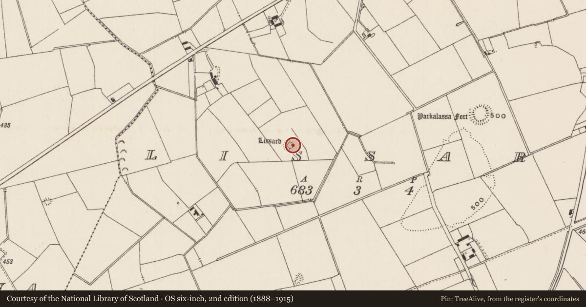 Ordnance Survey six-inch map, 2nd edition (1888–1915) covering the location of Ringfort - rath, Lissard, County Limerick, with a pin at the register's coordinates