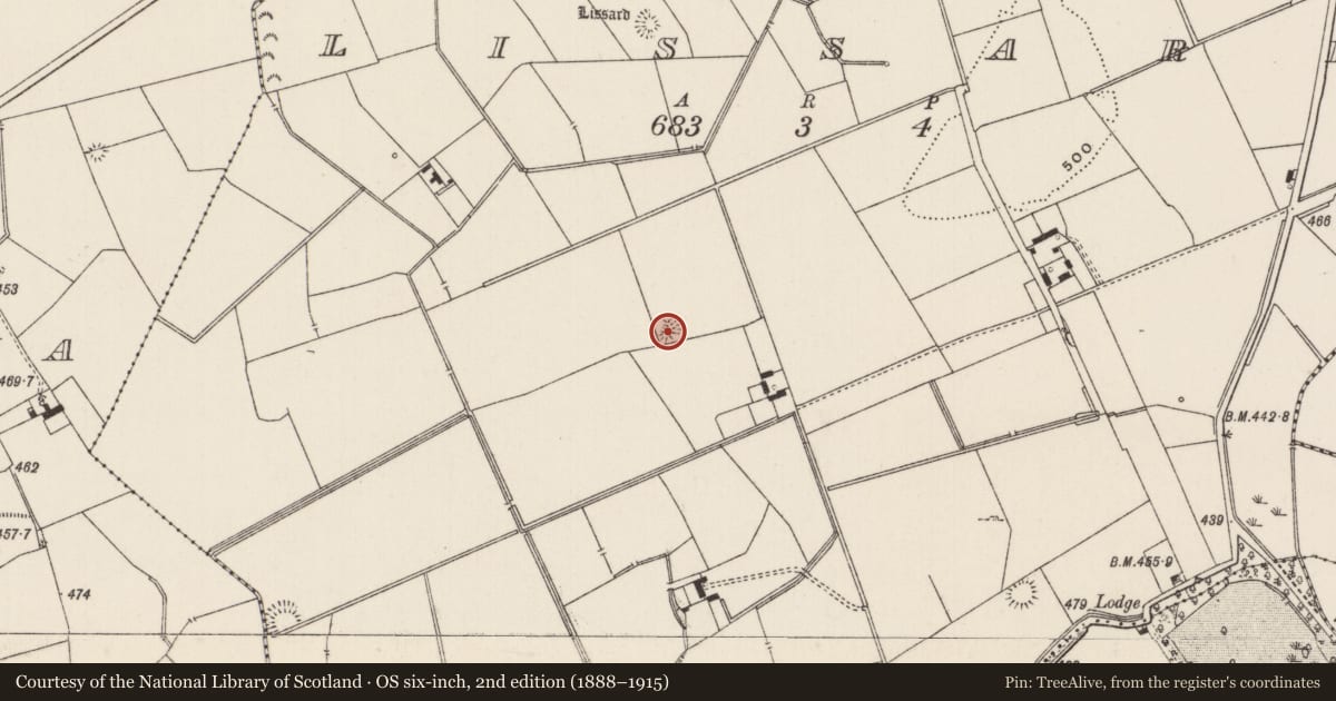 Ordnance Survey six-inch map, 2nd edition (1888–1915) covering the location of Fulacht fia, Lissard, County Limerick, with a pin at the register's coordinates