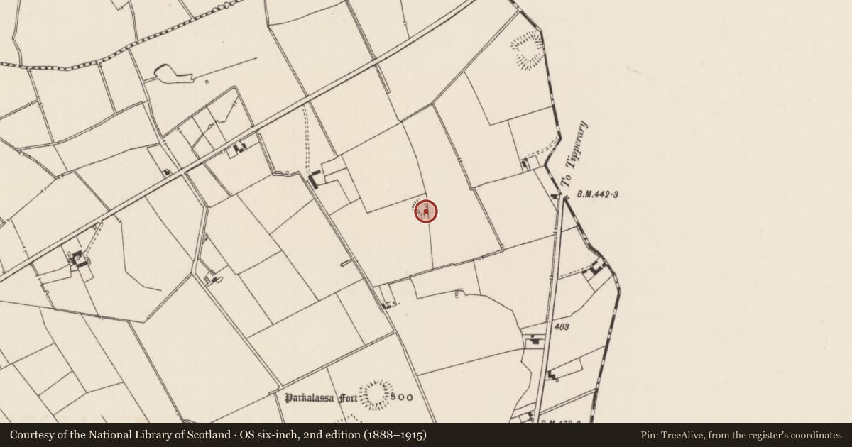 Ordnance Survey six-inch map, 2nd edition (1888–1915) covering the location of Earthwork, Lissard, County Limerick, with a pin at the register's coordinates