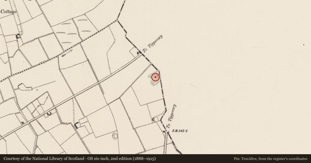 Ordnance Survey six-inch map, 2nd edition (1888–1915) covering the location of Moated site, Lissard, County Limerick, with a pin at the register's coordinates