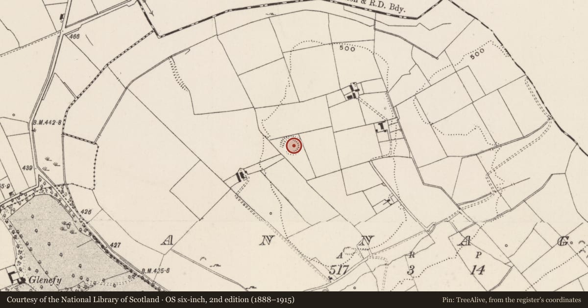 Ordnance Survey six-inch map, 2nd edition (1888–1915) covering the location of Ringfort - rath, Annagh, County Limerick, with a pin at the register's coordinates