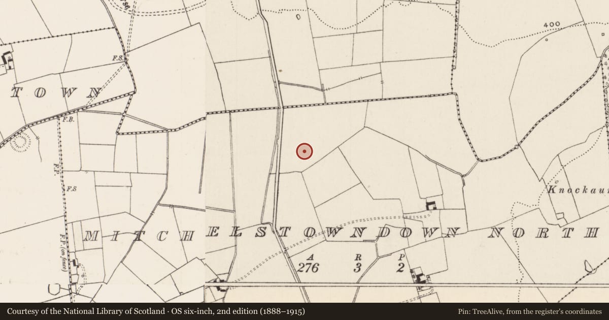 Ordnance Survey six-inch map, 2nd edition (1888–1915) covering the location of Barrow - unclassified, Mitchelstowndown North, County Limerick, with a pin at the register's coordinates