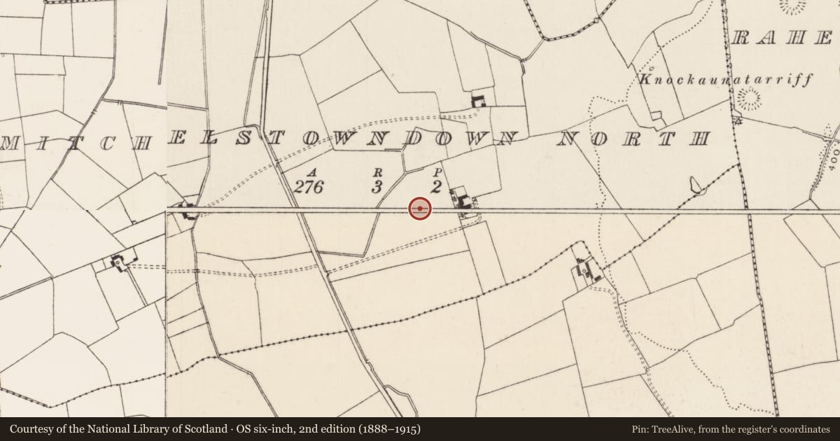 Ordnance Survey six-inch map, 2nd edition (1888–1915) covering the location of Barrow - unclassified, Mitchelstowndown North, County Limerick, with a pin at the register's coordinates