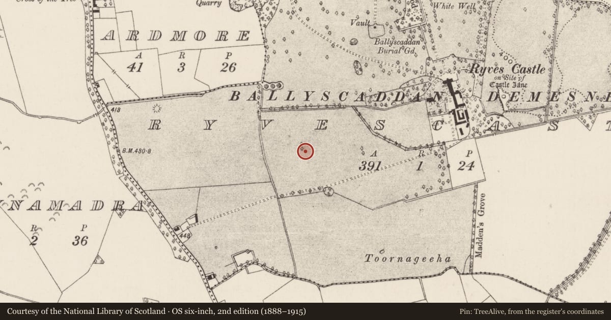 Ordnance Survey six-inch map, 2nd edition (1888–1915) covering the location of Earthwork, Ryves Castle, County Limerick, with a pin at the register's coordinates