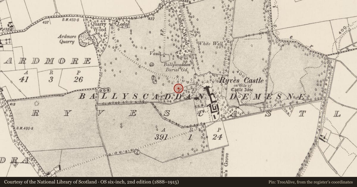 Ordnance Survey six-inch map, 2nd edition (1888–1915) covering the location of Earthwork, Ryves Castle, County Limerick, with a pin at the register's coordinates