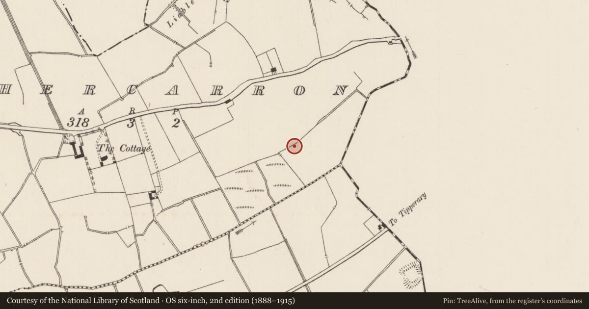 Ordnance Survey six-inch map, 2nd edition (1888–1915) covering the location of Enclosure, Bohercarron, County Limerick, with a pin at the register's coordinates