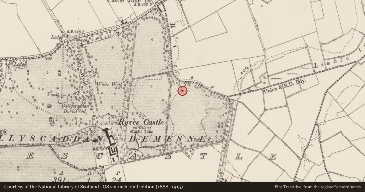 Ordnance Survey six-inch map, 2nd edition (1888–1915) covering the location of Earthwork, Ryves Castle, County Limerick, with a pin at the register's coordinates