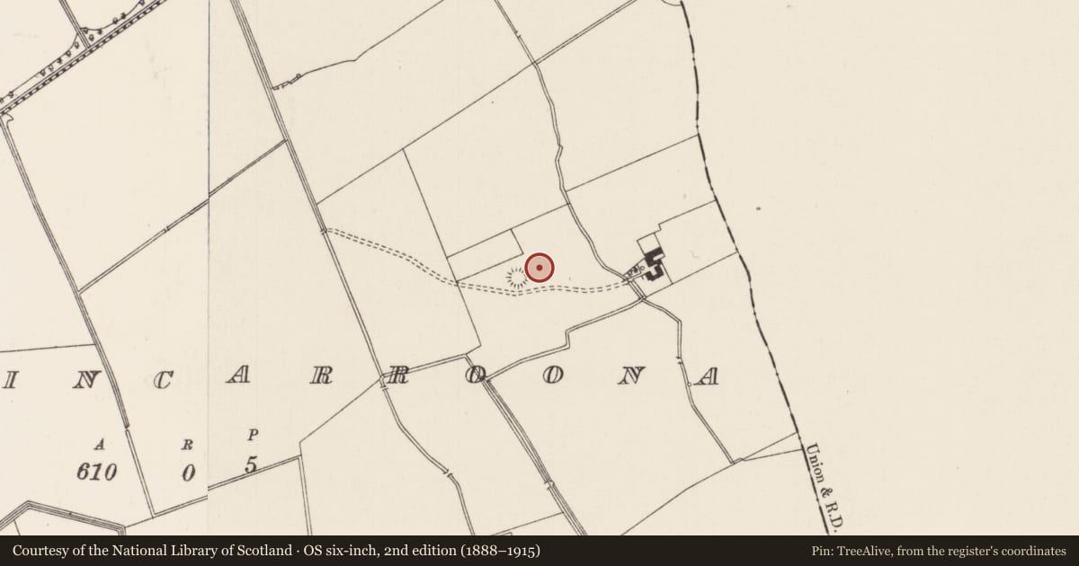 Ordnance Survey six-inch map, 2nd edition (1888–1915) covering the location of Enclosure, Ballincarroona, County Limerick, with a pin at the register's coordinates