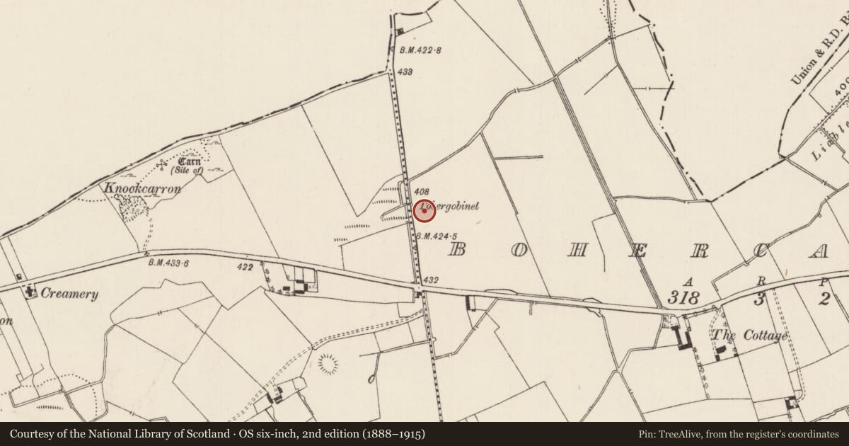 Ordnance Survey six-inch map, 2nd edition (1888–1915) covering the location of Earthwork, Bohercarron, County Limerick, with a pin at the register's coordinates