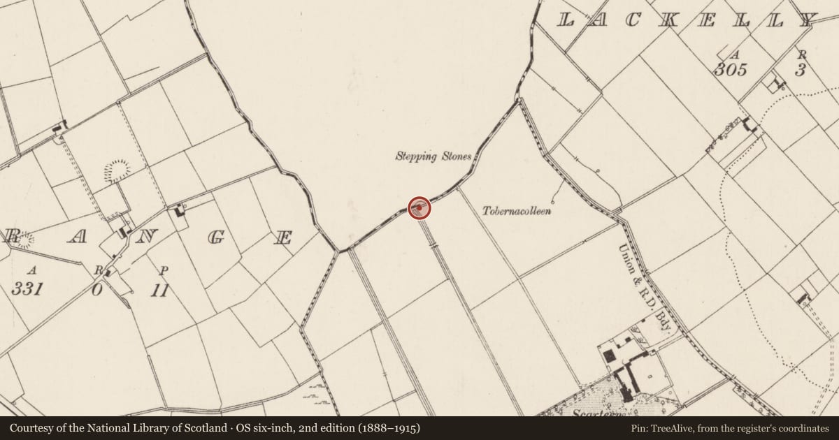 Ordnance Survey six-inch map, 2nd edition (1888–1915) covering the location of Barrow - bowl-barrow, Scarteen, County Limerick, with a pin at the register's coordinates