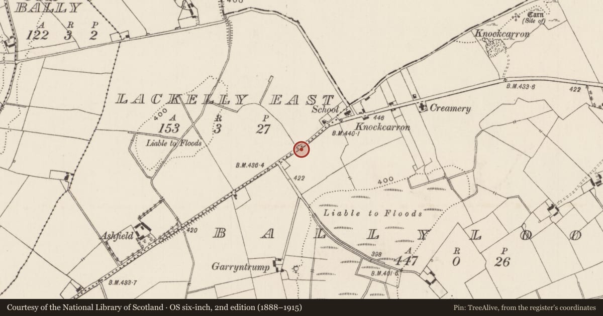 Ordnance Survey six-inch map, 2nd edition (1888–1915) covering the location of Bullaun stone, Lackelly East, County Limerick, with a pin at the register's coordinates