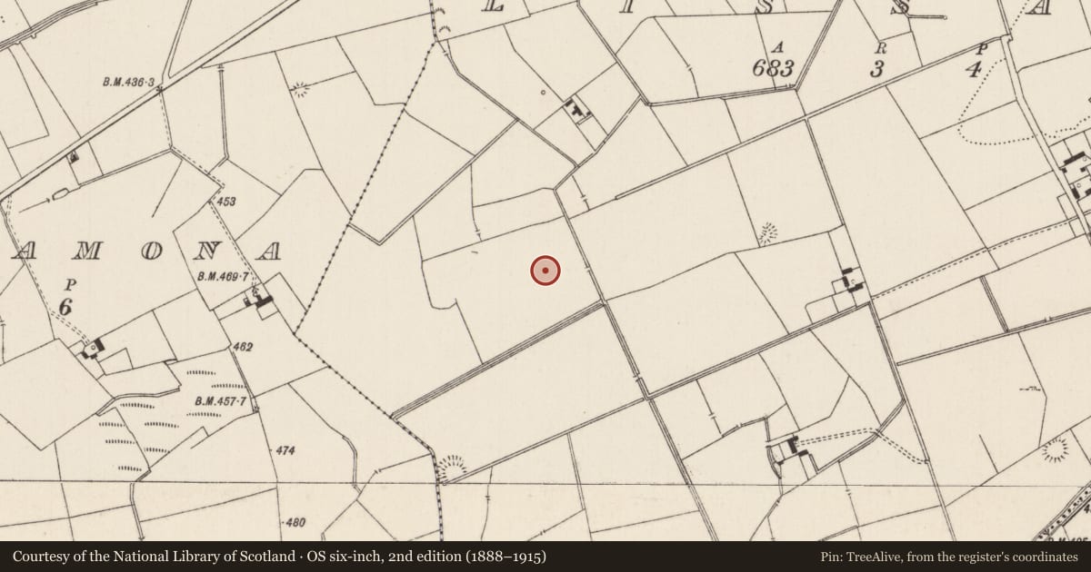 Ordnance Survey six-inch map, 2nd edition (1888–1915) covering the location of Barrow - ditch barrow, Lissard, County Limerick, with a pin at the register's coordinates