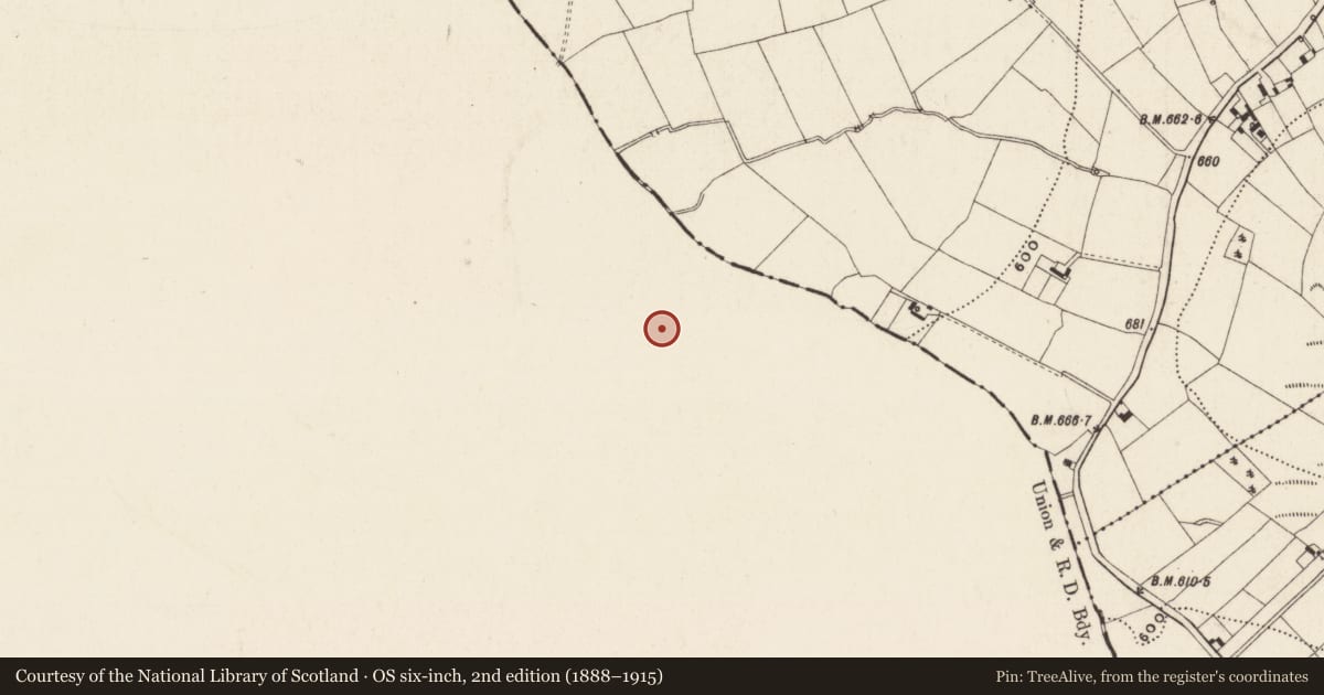 Ordnance Survey six-inch map, 2nd edition (1888–1915) covering the location of Barrow - ditch barrow, Annagh, County Limerick, with a pin at the register's coordinates