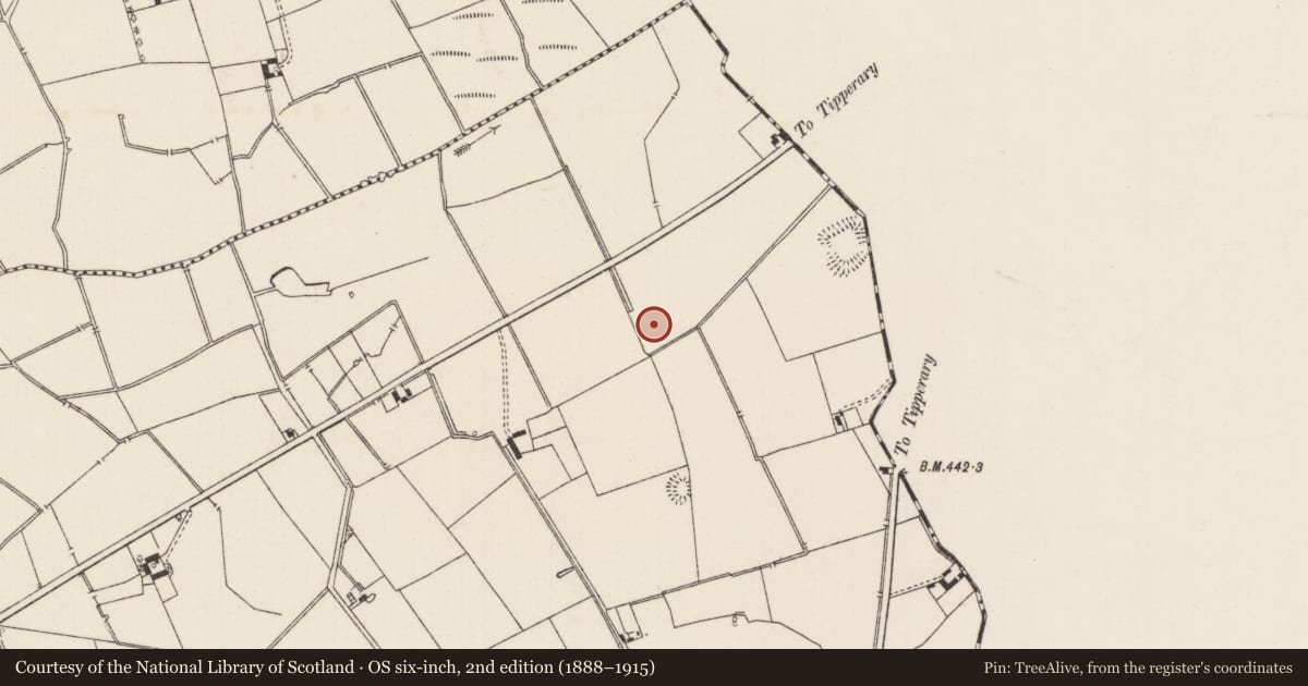 Ordnance Survey six-inch map, 2nd edition (1888–1915) covering the location of Barrow - ditch barrow, Lissard, County Limerick, with a pin at the register's coordinates
