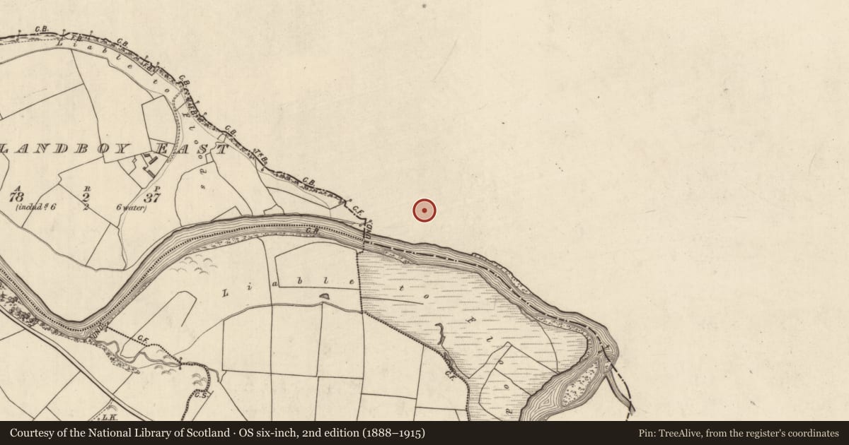 Ordnance Survey six-inch map, 2nd edition (1888–1915) covering the location of Castle - tower house, Port, County Limerick, with a pin at the register's coordinates