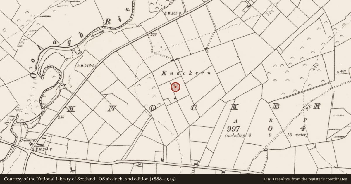 Ordnance Survey six-inch map, 2nd edition (1888–1915) covering the location of Barrow - ring-barrow, Knockbrack, County Limerick, with a pin at the register's coordinates