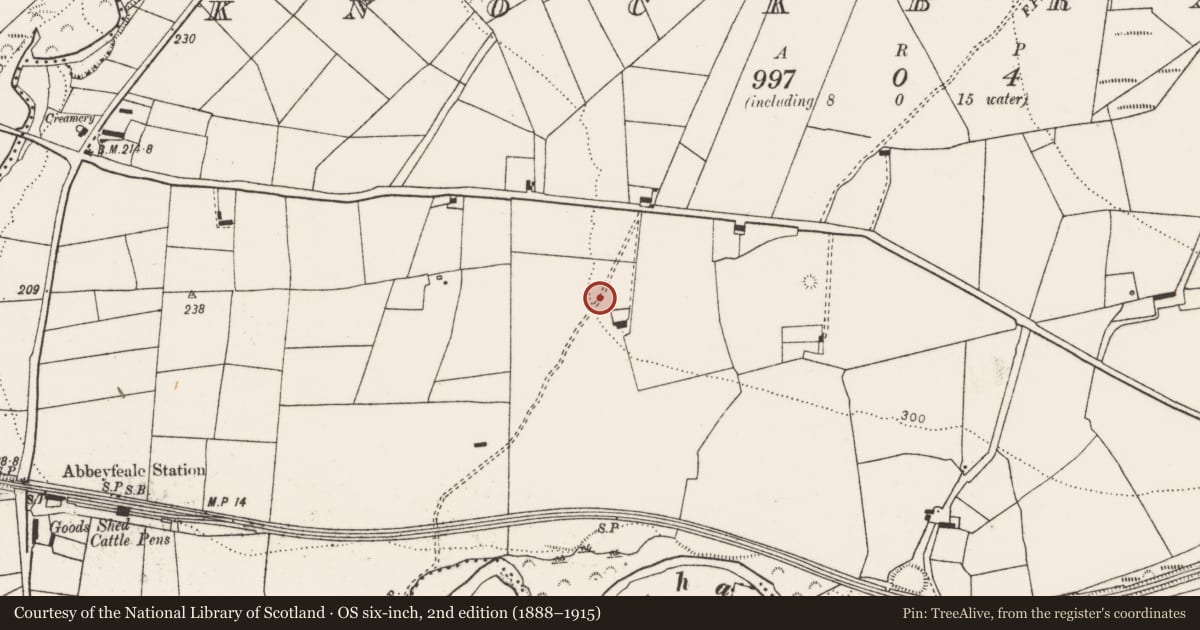 Ordnance Survey six-inch map, 2nd edition (1888–1915) covering the location of Ringfort - rath, Knockbrack, County Limerick, with a pin at the register's coordinates