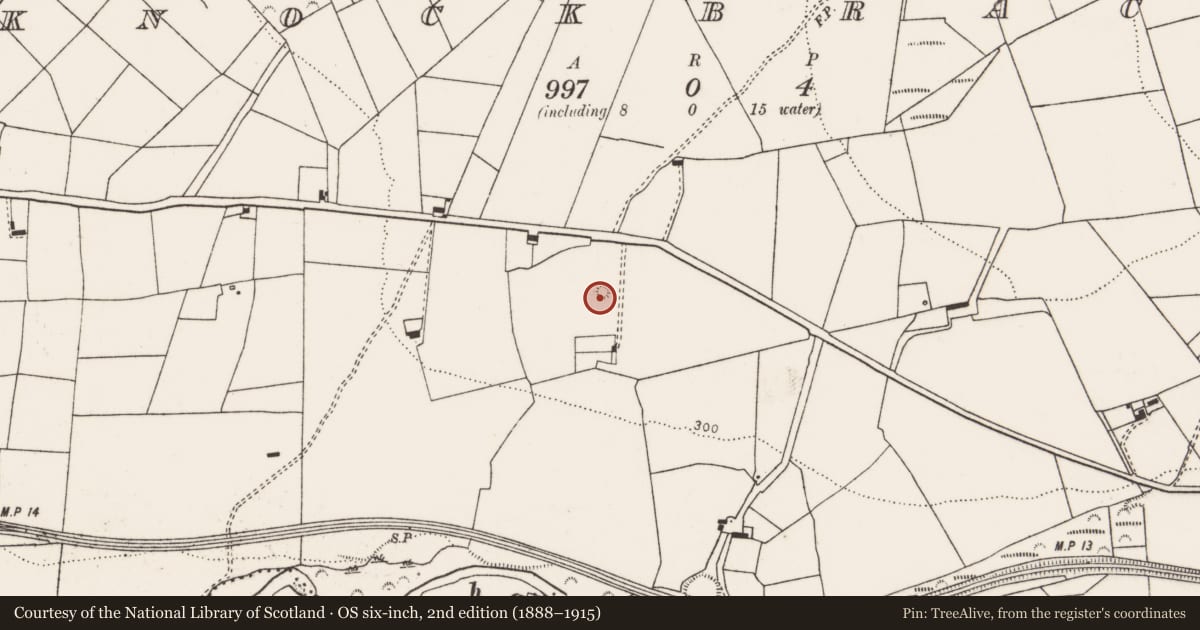 Ordnance Survey six-inch map, 2nd edition (1888–1915) covering the location of Enclosure, Knockbrack, County Limerick, with a pin at the register's coordinates