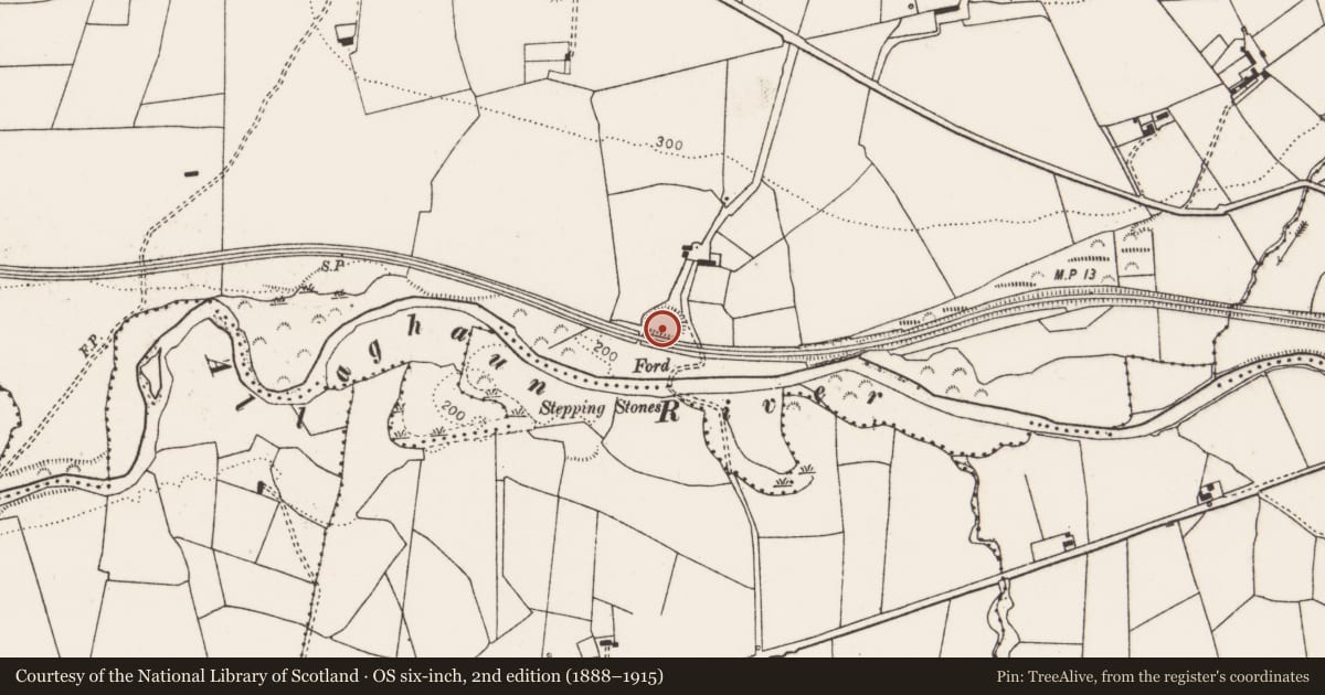 Ordnance Survey six-inch map, 2nd edition (1888–1915) covering the location of Ringfort - rath, Knockbrack, County Limerick, with a pin at the register's coordinates