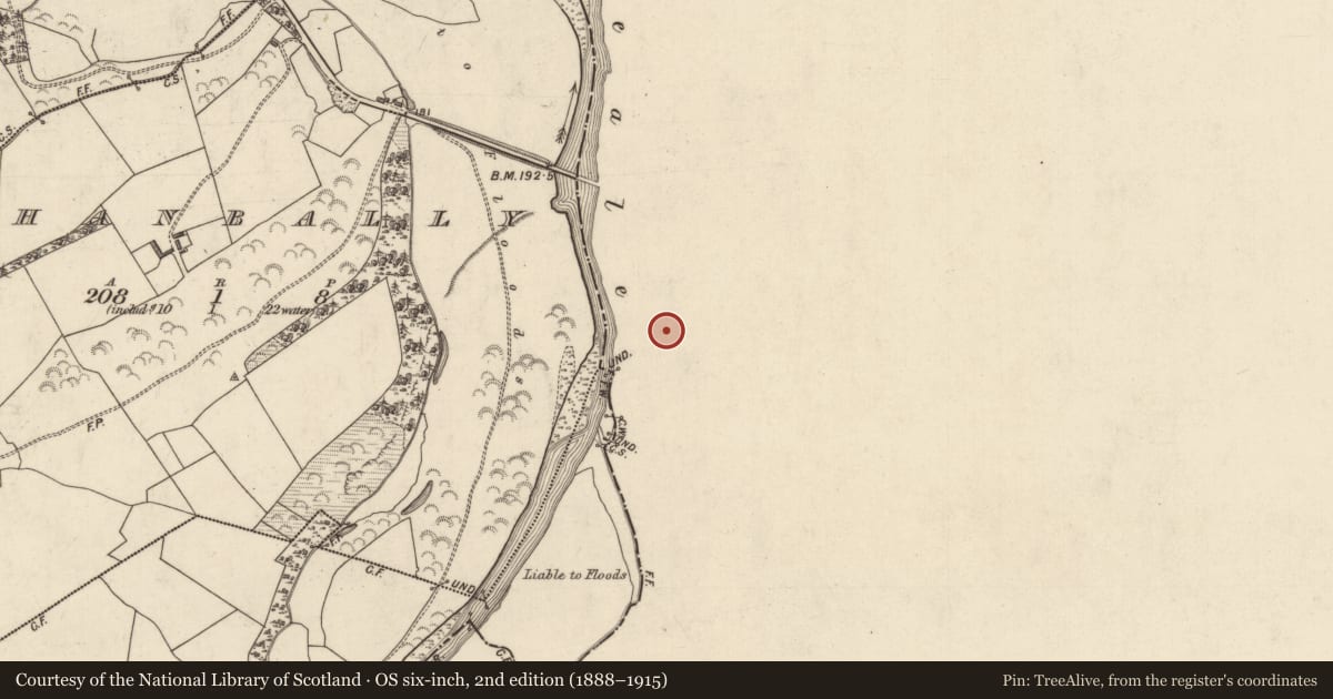 Ordnance Survey six-inch map, 2nd edition (1888–1915) covering the location of Church, Abbeyfeale West, County Limerick, with a pin at the register's coordinates