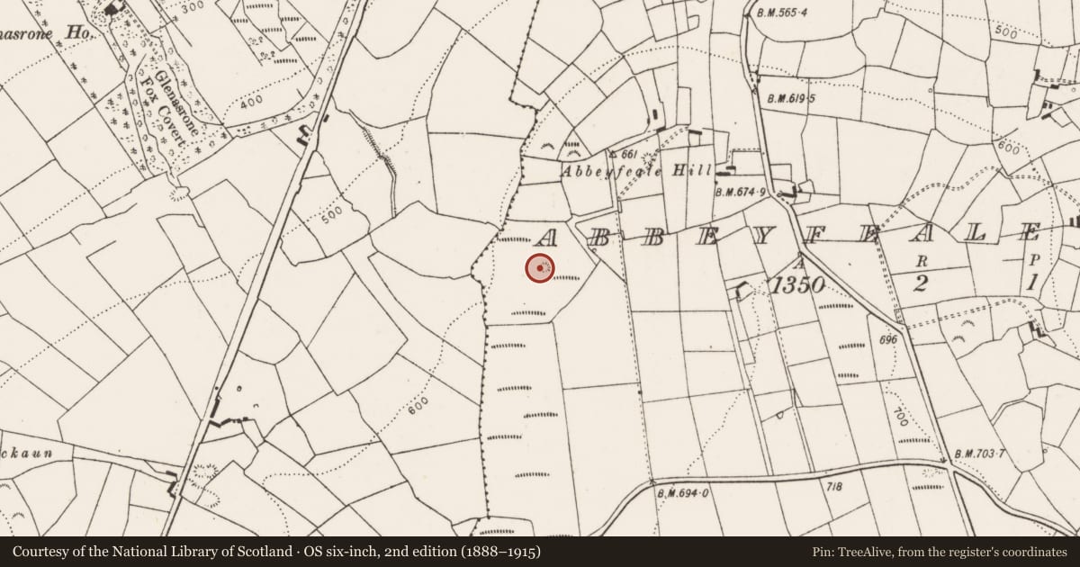 Ordnance Survey six-inch map, 2nd edition (1888–1915) covering the location of Enclosure, Abbeyfeale East, County Limerick, with a pin at the register's coordinates