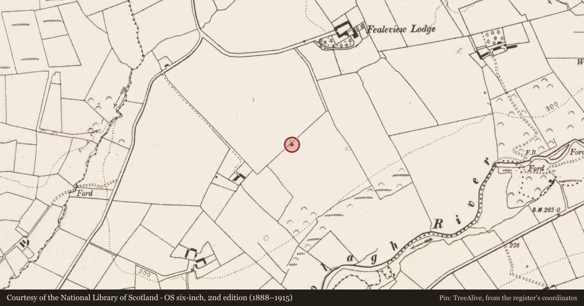 Ordnance Survey six-inch map, 2nd edition (1888–1915) covering the location of Ringfort - rath, Knocknasnaa, County Limerick, with a pin at the register's coordinates