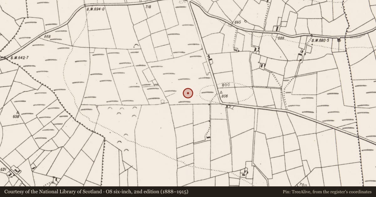 Ordnance Survey six-inch map, 2nd edition (1888–1915) covering the location of Earthwork, Abbeyfeale East, County Limerick, with a pin at the register's coordinates