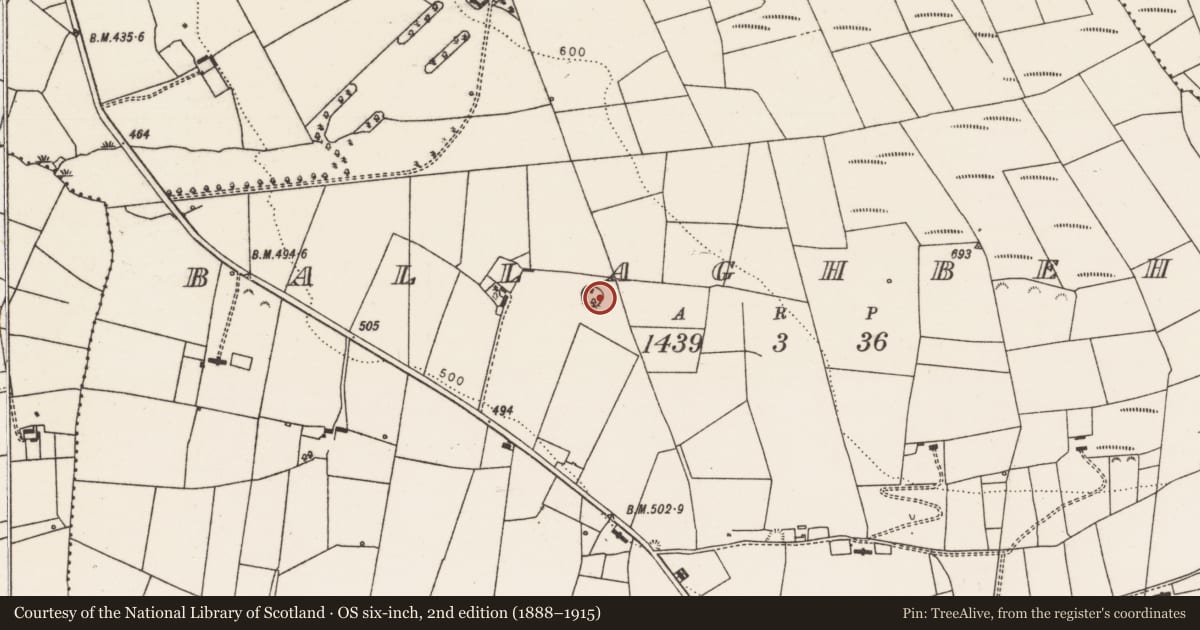Ordnance Survey six-inch map, 2nd edition (1888–1915) covering the location of Ringfort - rath, Ballaghbehy, County Limerick, with a pin at the register's coordinates
