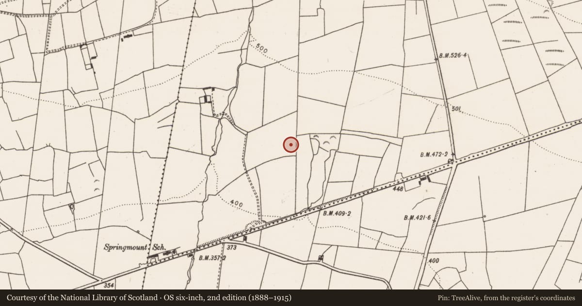 Ordnance Survey six-inch map, 2nd edition (1888–1915) covering the location of Ringfort - rath, Ballaghbehy North, County Limerick, with a pin at the register's coordinates