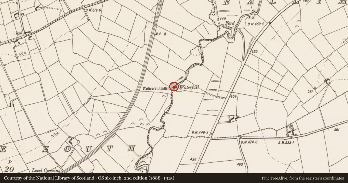 Ordnance Survey six-inch map, 2nd edition (1888–1915) covering the location of Ritual site - holy well, Meenyline South, County Limerick, with a pin at the register's coordinates