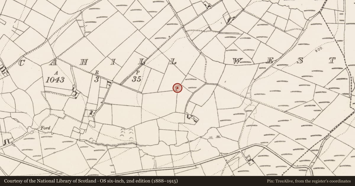 Ordnance Survey six-inch map, 2nd edition (1888–1915) covering the location of Excavation - miscellaneous, Rathcahill West, County Limerick, with a pin at the register's coordinates