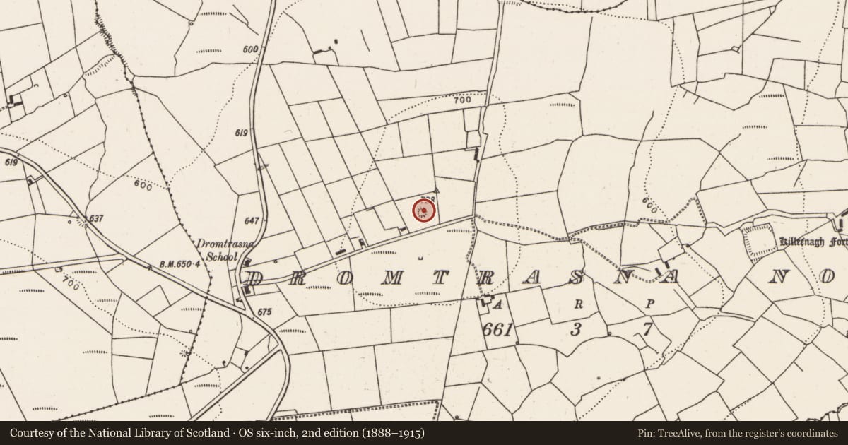Ordnance Survey six-inch map, 2nd edition (1888–1915) covering the location of Barrow - ring-barrow, Dromtrasna North, County Limerick, with a pin at the register's coordinates
